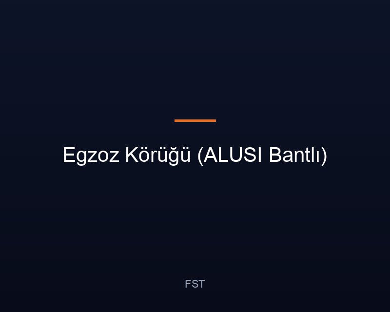 Egzoz Körüğü (ALUSI Bantlı)