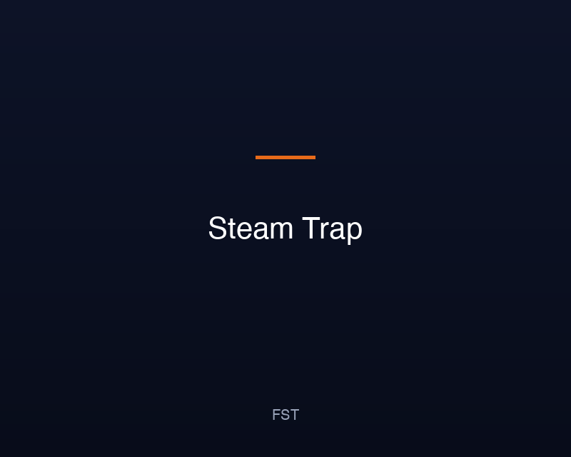 Steam Trap